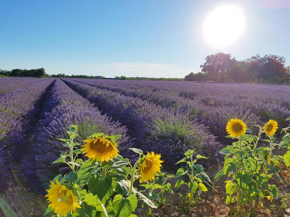Villa Lavanda Trans-en-Provence Εξωτερικό φωτογραφία